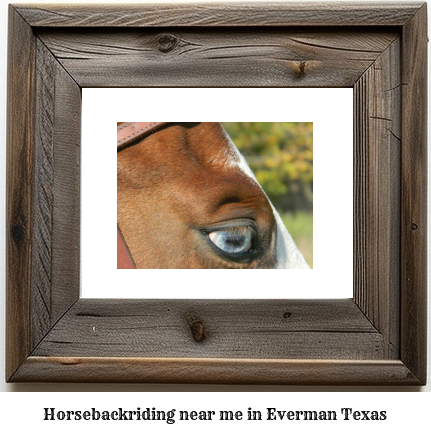 horseback riding near me in Everman, Texas